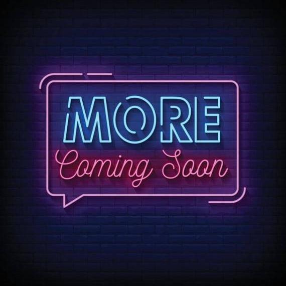 HYUNDAI SANTA FE 2009 5NMSG13D89H310029 image